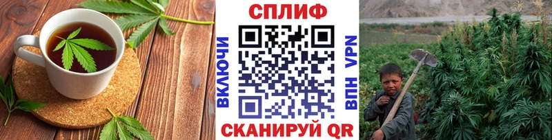 Canna-Cookies конопля  сколько стоит  Павловский Посад 