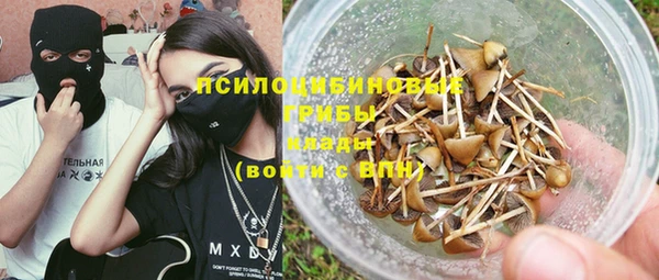 эйфоретик Алексин